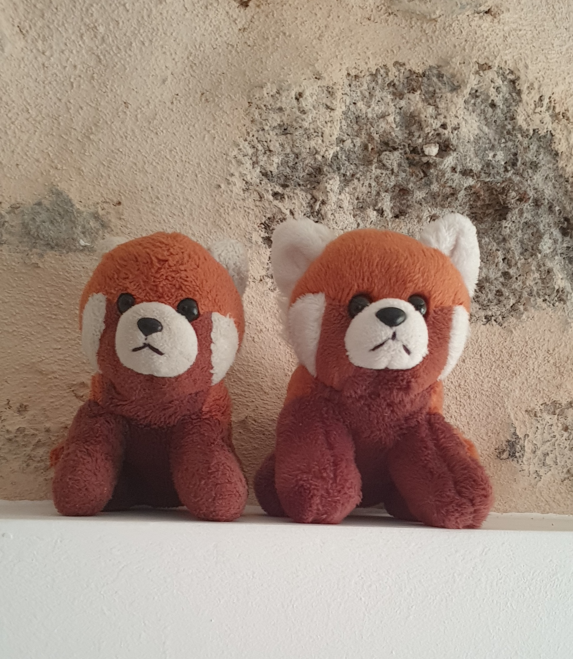 Lisi&Lili